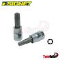 1/4” TORX BIT SOCKET บ๊อกซ์เดือยโผล่ 1/4” SIGNET