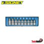 1/2" DR. HEX BIT SOCKET SET(HEX4-17MM) ชุดบ๊อกซ์เดือยโผล่หัวหกเหลี่ยมบอลยาว 55มม. SQ.1/2" (4-7มม.) SIGNET #23899